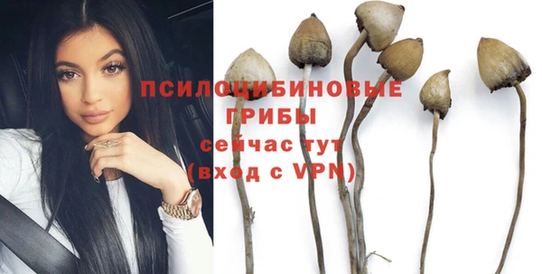 Альфа ПВП Инта