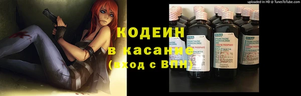 Альфа ПВП Инта