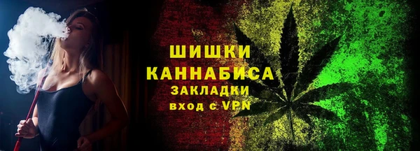 Альфа ПВП Инта