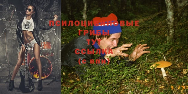 Альфа ПВП Инта